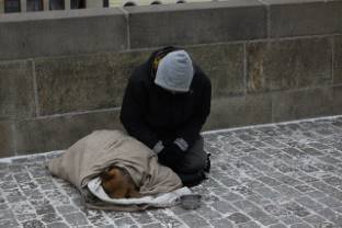 Вниманию жителей – будем неравнодушными к бездомным!