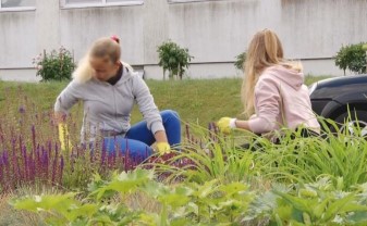 По Программе летнего трудоустройства молодёжи Дума обеспечивает 1058 рабочих мест (ВИДЕО)