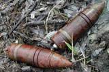 На дне озера Стропы снова обнаружены снаряды
