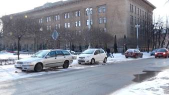 Оплатить стоянку автомобиля в центре города можно с помощью мобильного приложения (ВИДЕО)
