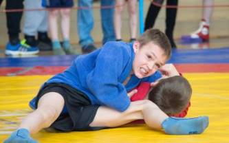 Daugavpils Sambo Open 2015 Daugavpils Sambo Open 2015