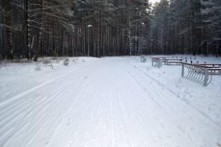 Лыжная трасса в Стропском лесопарке приглашает любителей спорта и активного отдыха
